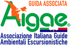 logo aigae